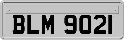 BLM9021