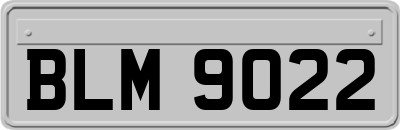 BLM9022
