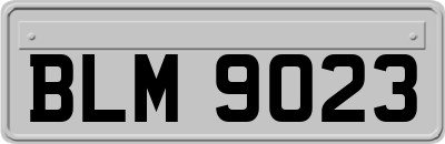 BLM9023