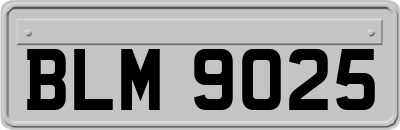 BLM9025