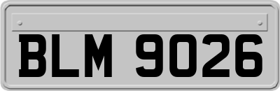 BLM9026