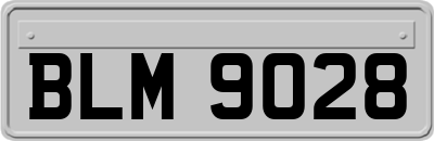 BLM9028