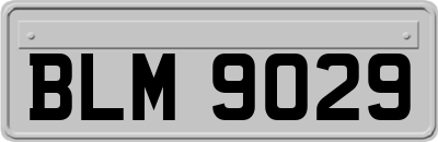 BLM9029