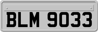 BLM9033