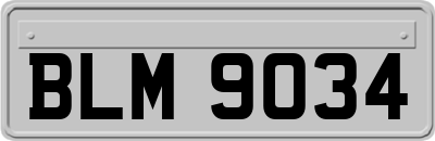 BLM9034