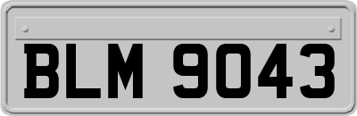 BLM9043