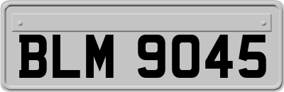 BLM9045