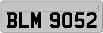 BLM9052