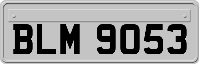 BLM9053
