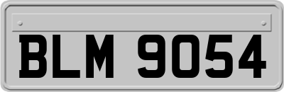 BLM9054