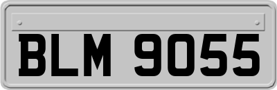 BLM9055