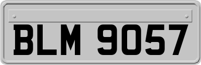 BLM9057