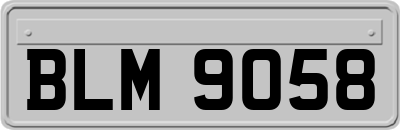BLM9058