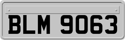 BLM9063