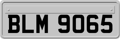 BLM9065
