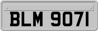 BLM9071