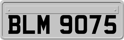 BLM9075