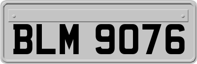 BLM9076