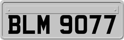 BLM9077