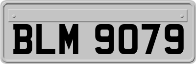 BLM9079