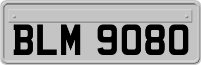 BLM9080
