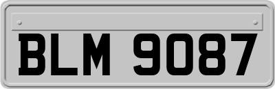 BLM9087