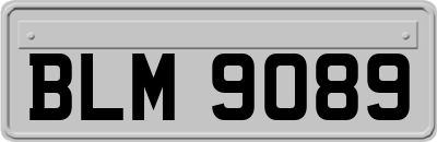 BLM9089