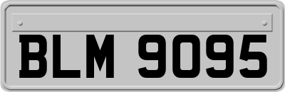 BLM9095