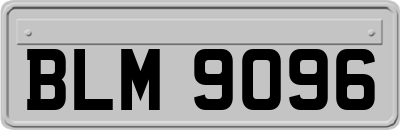 BLM9096