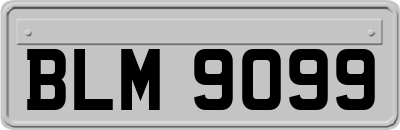 BLM9099