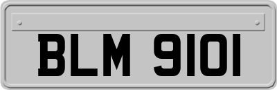 BLM9101