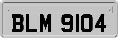 BLM9104