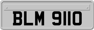 BLM9110