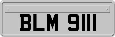 BLM9111