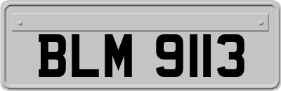 BLM9113