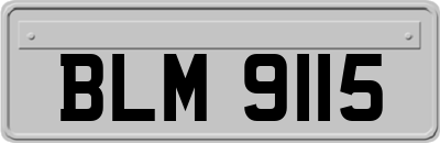BLM9115