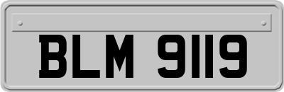 BLM9119
