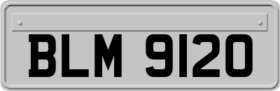 BLM9120