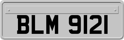 BLM9121