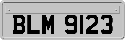 BLM9123