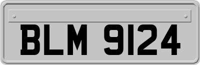 BLM9124