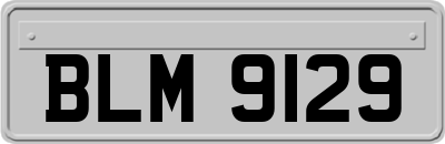 BLM9129