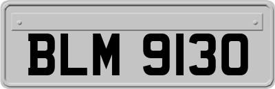 BLM9130
