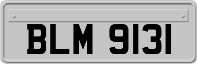 BLM9131