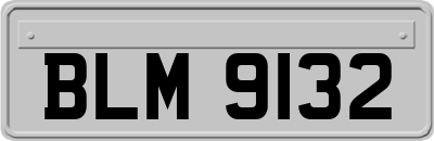 BLM9132