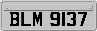 BLM9137