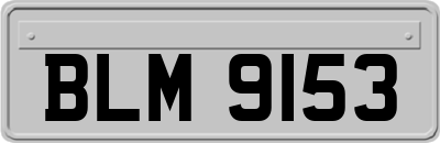 BLM9153