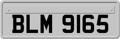 BLM9165