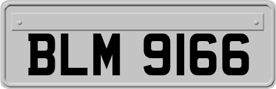 BLM9166