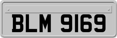 BLM9169